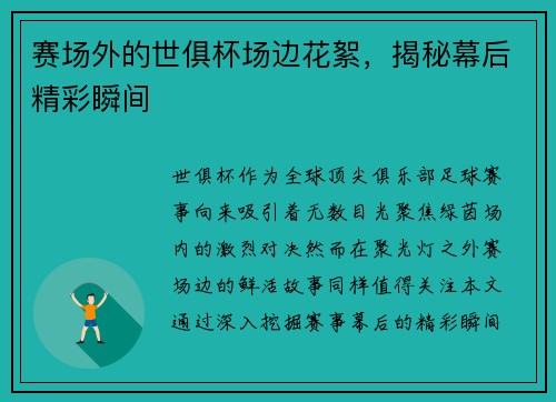 赛场外的世俱杯场边花絮，揭秘幕后精彩瞬间